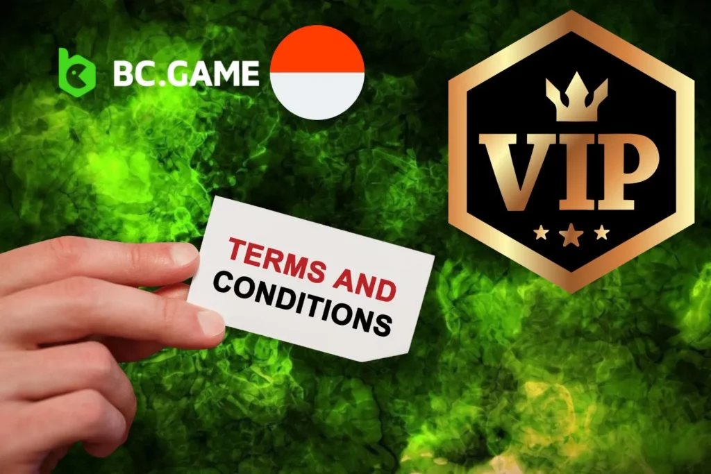 BC.Game VIP Club Terms and Conditions